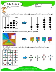 Zeka Gelişim Testleri